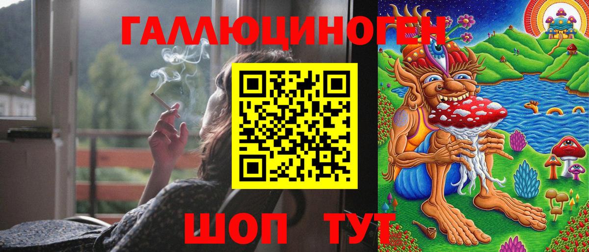 Галлюциногенные грибы Cubensis Сланцы