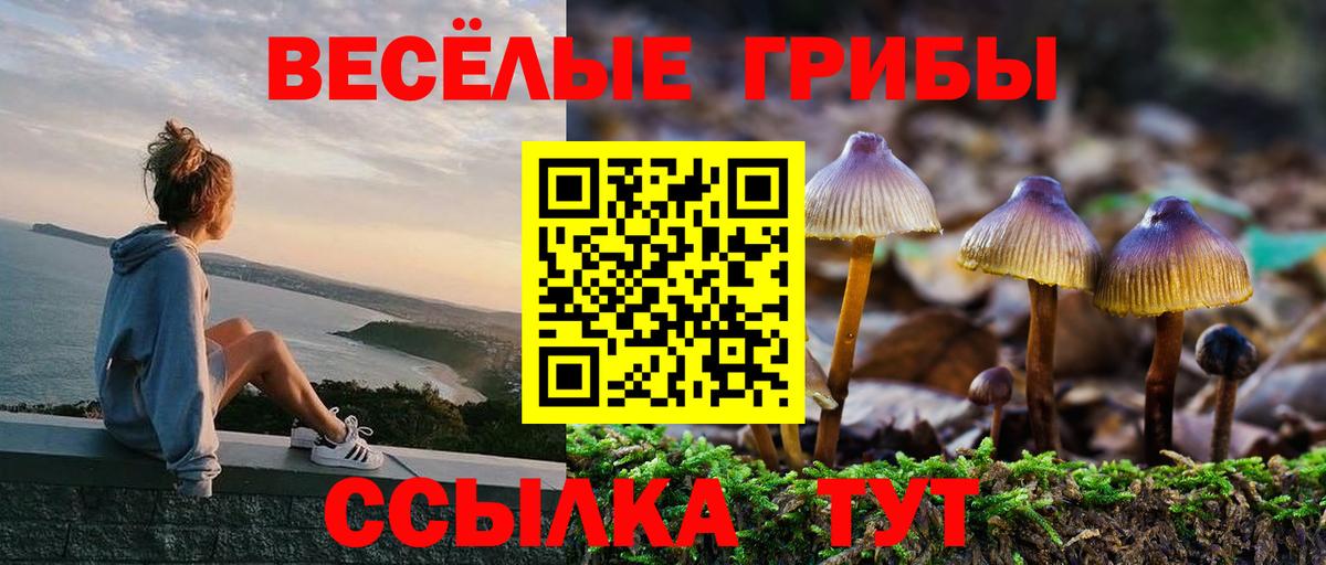 закладка  Псилоцибиновые грибы ЛСД  Вход с VPN  Сланцы 