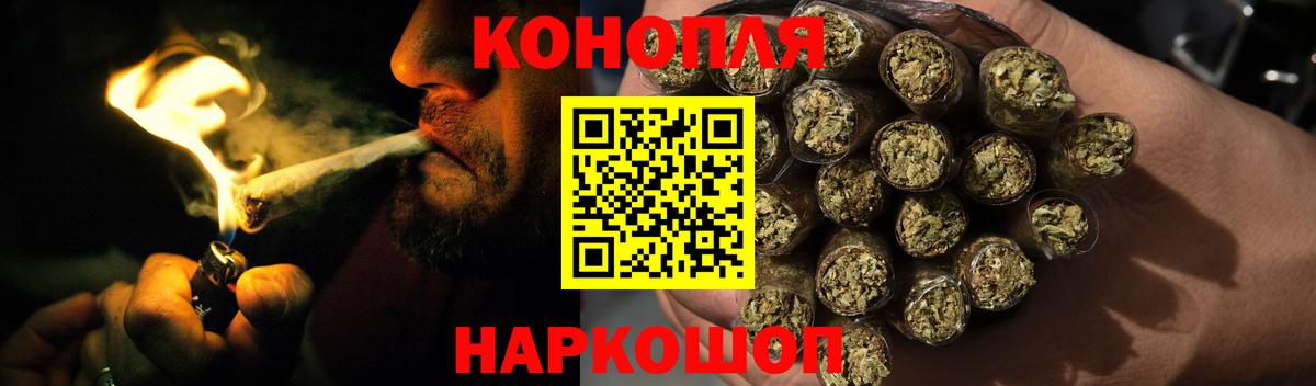Канабис OG Kush Сланцы